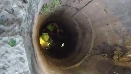 Brave Rescuer Rappels Into Deep Well to Save Trapped Python 🐍