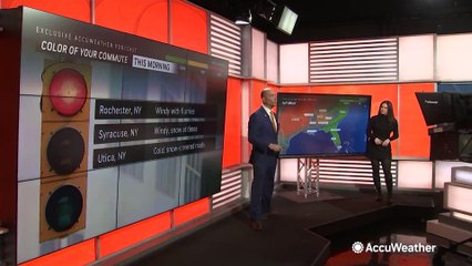 Travel Alert for Feb. 29: Potential Weather Delays Nationwide 🚗