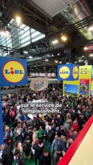 «Nous allons nous aligner sur les premiers prix de la concurrence», Michel Biero, patron de Lidl France