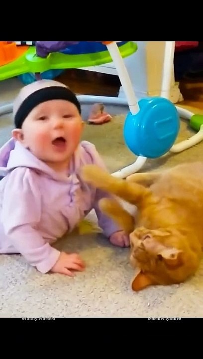 #funny cats and baby fight