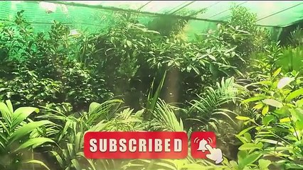 When Hazrat Uzair as came back to life after a hundred years