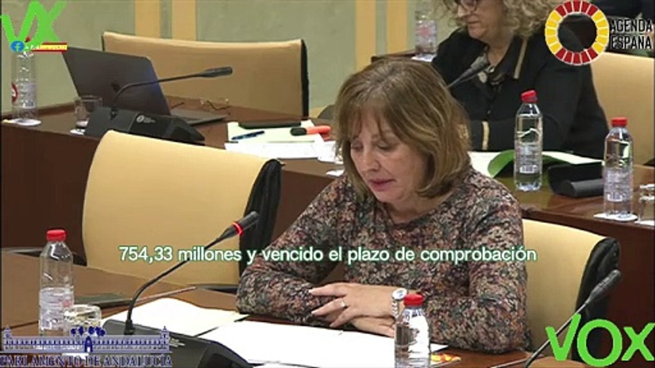 Cristina A. Jiménez. Pregunta en Comisión en Hacienda. 27.02.2024