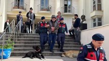 Bodrum'da 4 köpek ile 3 kediyi zehirleyerek öldüren şüpheliyi özel ekip yakaladı