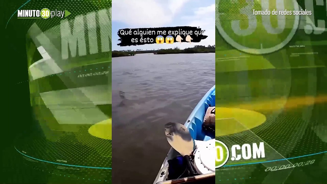 Misteriosa criatura fue grabada por hombre en kayak en el río Amazonas