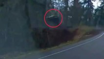 Distracted driver flies off Oregon road and plunges 200ft down embankment