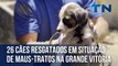 26 cães resgatados em situação de maus-tratos na Grande Vitória