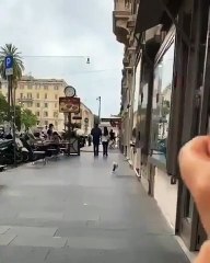 Roma’da dev fareyi yutan martı görenleri şoka uğrattı