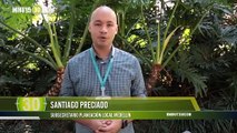 ¡Párele bolas! Ciudadanos de Medellín, a elegir en qué invertir los $234.000 millones de Presupuesto Participativo