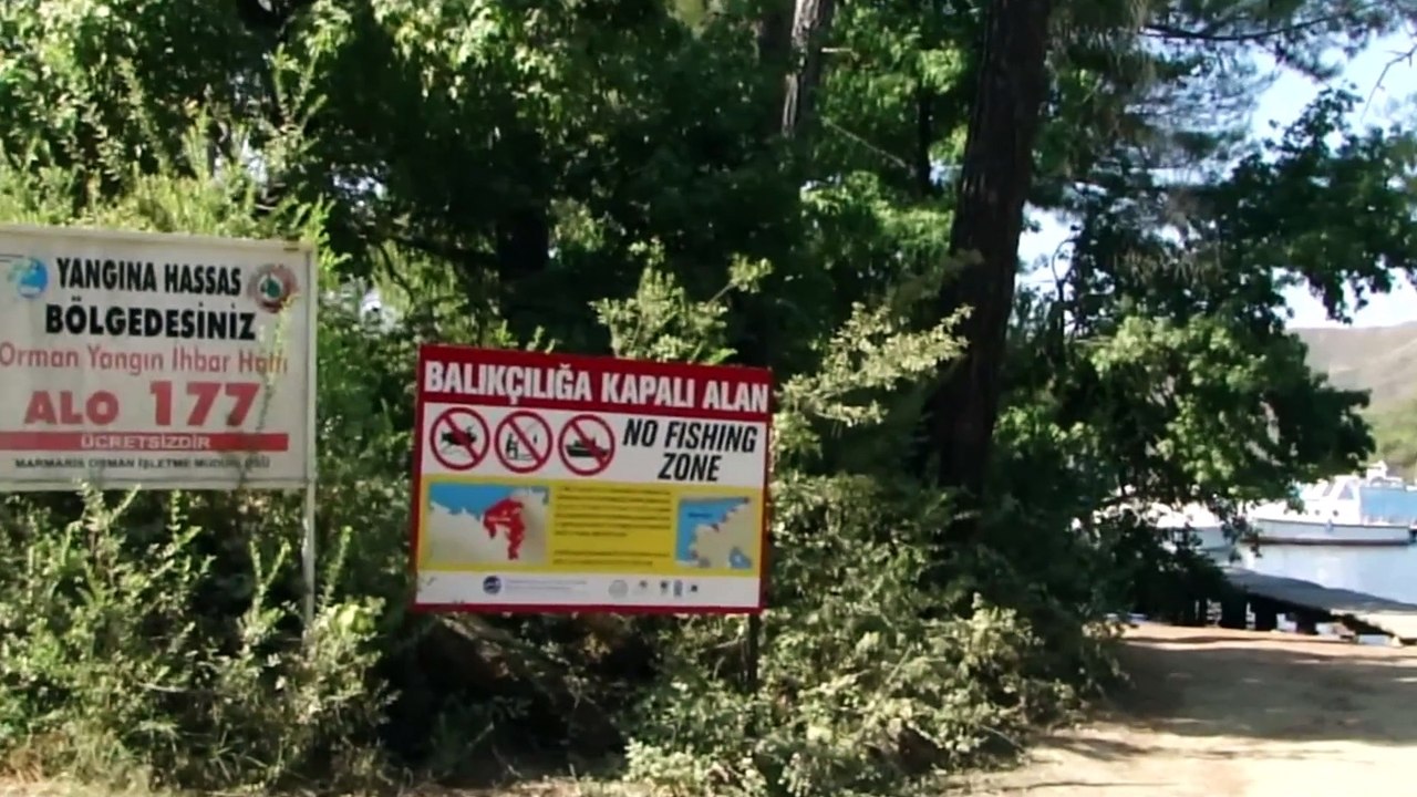 MARMARİS OKLUK KOYU 2014