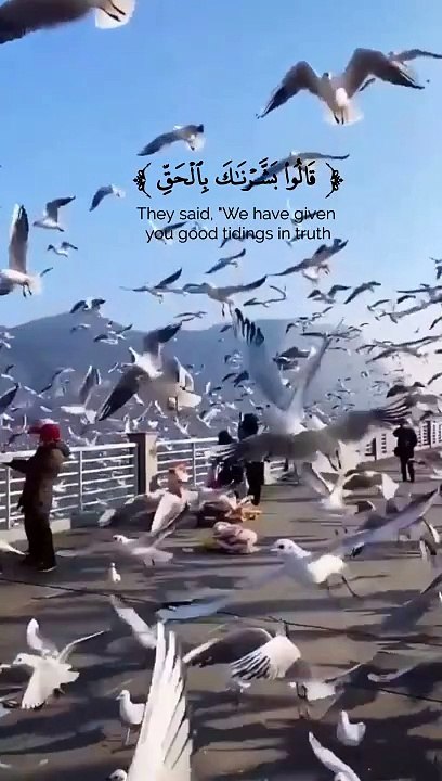سورة الحجر ايه (55)
