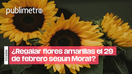 ¿Por qué se regalan flores amarillas el 29 de febrero? Descubre su historia 🌼