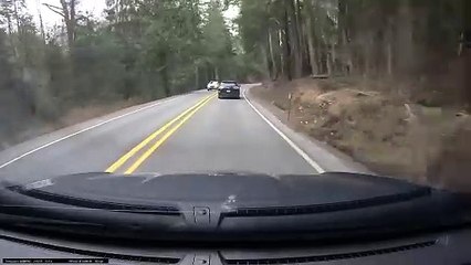 Tree Branch Falls On Windshield