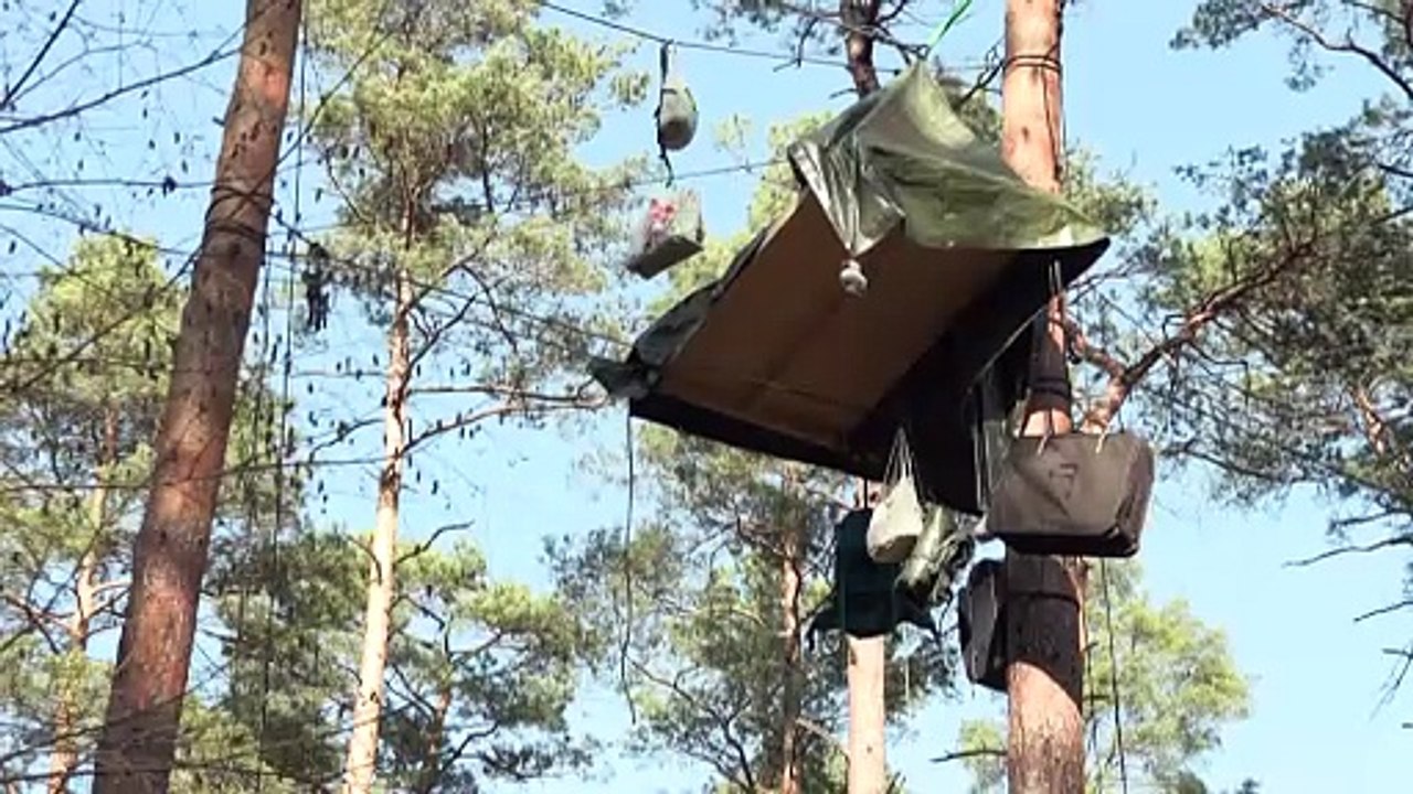Protest gegen ausbau von tesla-werk in brandenburg: waldstück besetzt