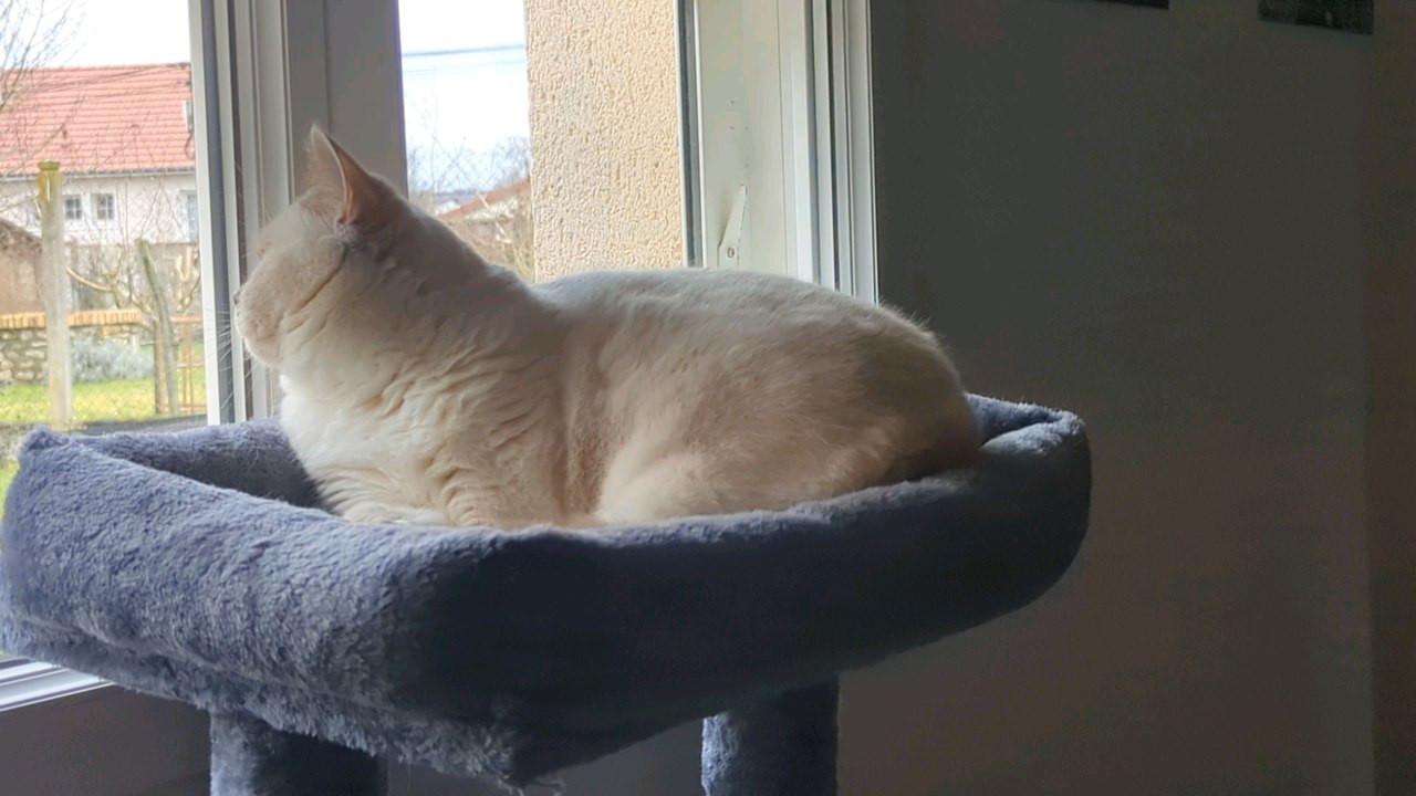 Mochi is taking a shower so I don't think so if I don't think about the kids and a little bit more to do it will be fine with you and I don't know what I want for you to do that for