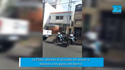 Allanaron al "matagatos" de La Plata: le dispara a los felinos desde la terraza