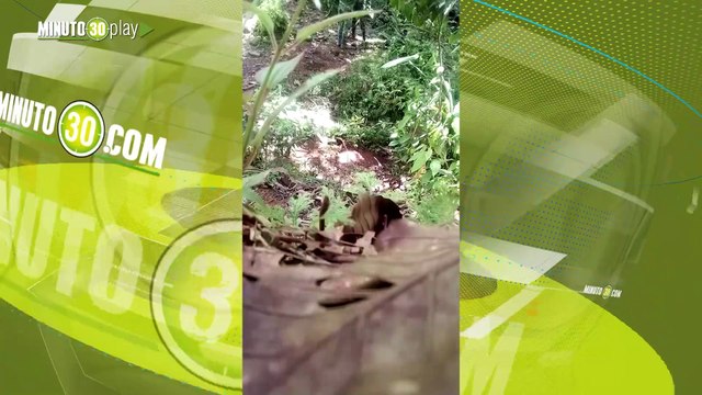 Soldados encontraron explosivos en Tarazá, Antioquia