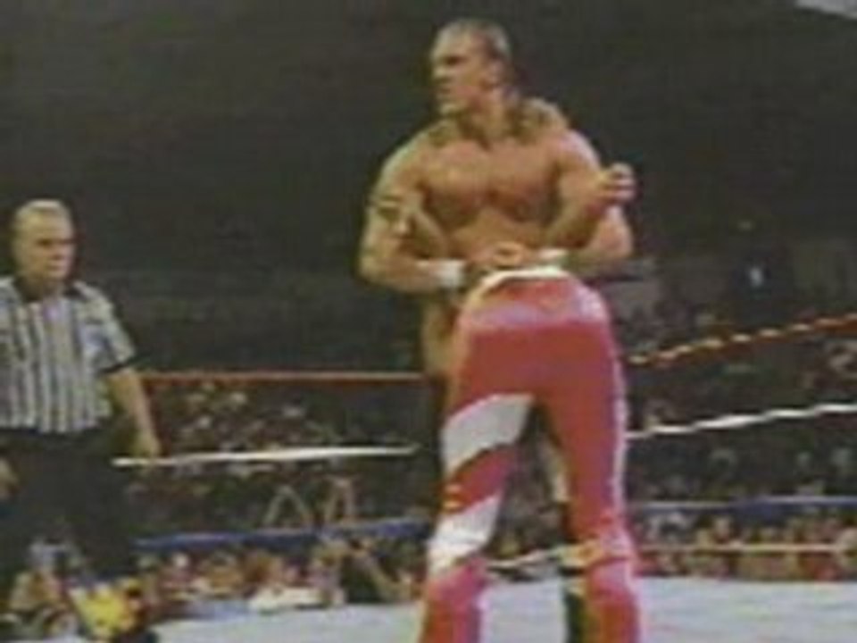 WWE Triple H  Pedigree