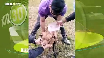 Ellos saben donde los quieren Perrito llegó pidiendo ayuda a los trabajadores de una construcción en Rionegro