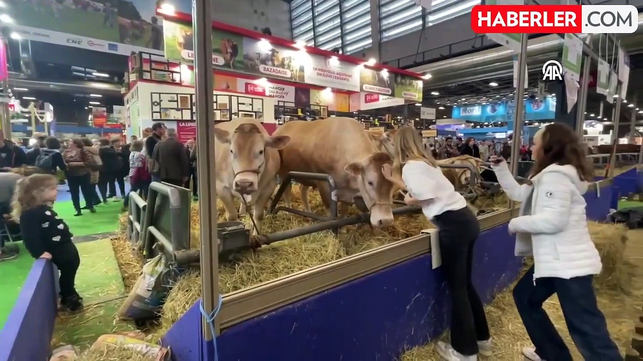 Paris Uluslararası Tarım Fuarı'nda 990 Kilogramlık İnek Rekor Fiyata Satıldı