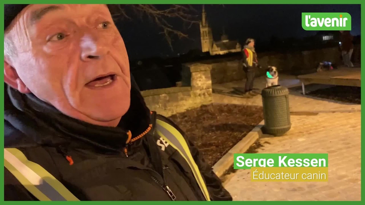 Un cours d'éducation canine dans les rues d'Arlon