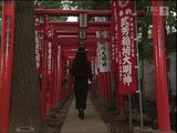 ドラマ動画 9tsu - 9tsu ドラマ 9tsu.vip - 西村京太郎サスペンス 探偵左文字進3「空巣と殺人」