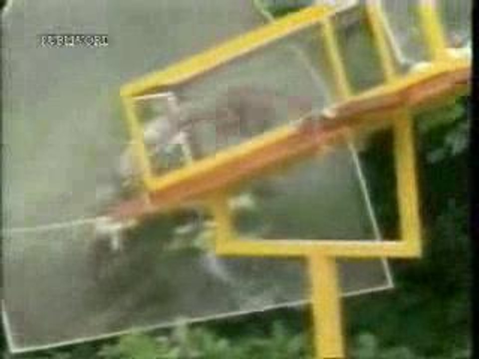 ecureuil-parcours-combattant