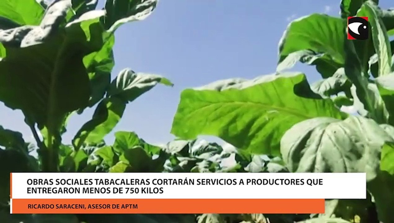 Obras sociales tabacaleras cortarán servicios a...