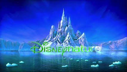 Félins (2011) - Bande annonce