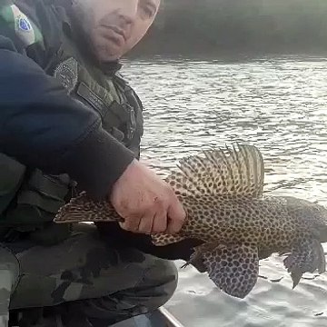 Polícia Ambiental faz orientações na reabertura da pesca e divulga resultado de fiscalizações
