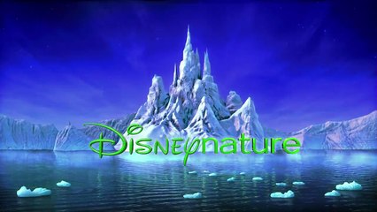 Chimpanzés (2012) - Bande annonce