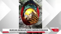 Se roban 6 animales silvestres del Zoológico de Guátika, Boyacá