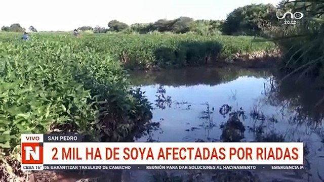 2.000 hectáreas de cultivos afectadas en el norte integrado