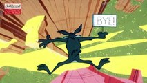 'Coyote vs. Acme' Star Will Forte Says Movie is 