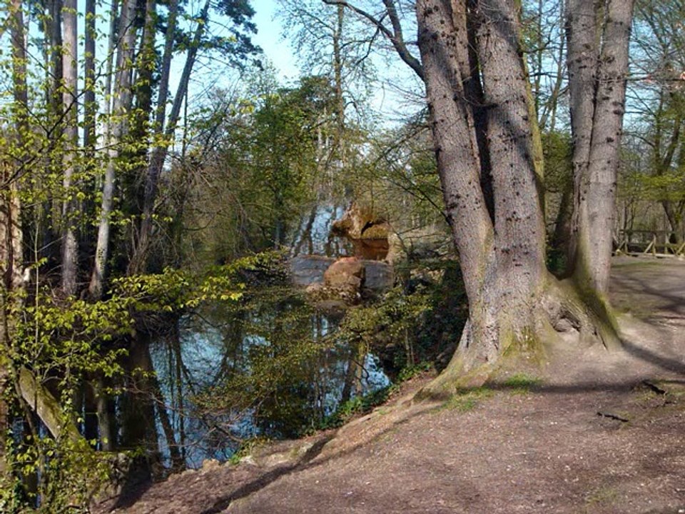 Sonate aux canards_0001