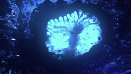 Snorri Hallgrímsson - D’un vieux Jardin (Snorri Hallgrímsson Rework) (Visualizer)