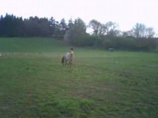 Ody au pré qui s'éclate + cabré