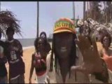 Alpha Blondy - Demain t'appartient