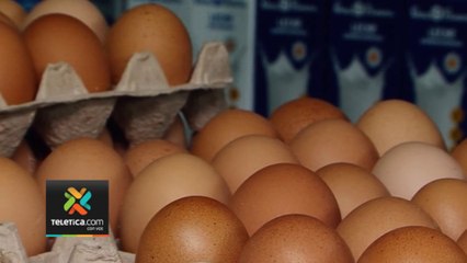 tn7-Sobreoferta de huevos favorece disminución en el precio-290224