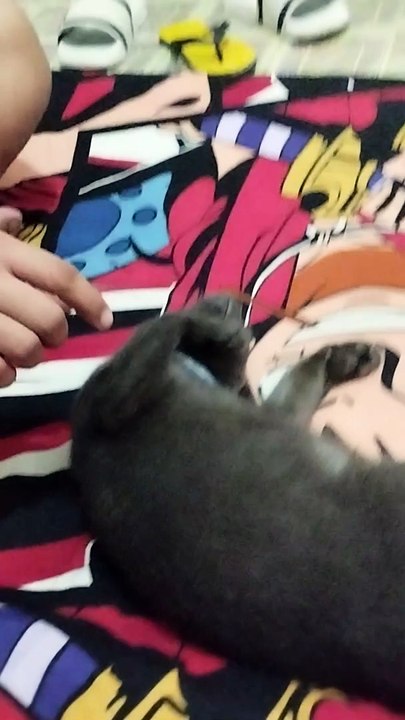 best actor cat