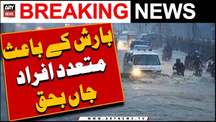 Many people died due to rain -   