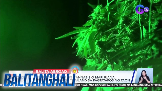 Recreational use ng cannabis o marijuana, ipagbabawal na sa Thailand sa pagtatapos ng taon | BT