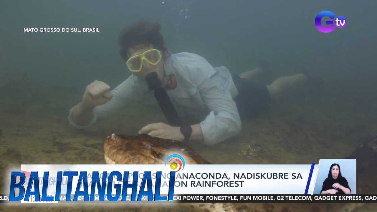 Bagong species ng anaconda, nadiskubre sa isang ilog sa Amazon Rainforest | BT