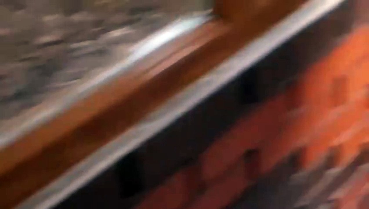 Hayvanat Bahçesi - Zoo