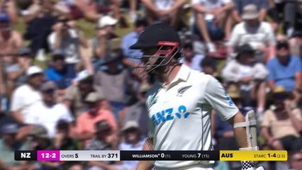 Williamson run out for a duck in comical fashion