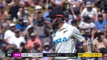 Williamson run out for a duck in comical fashion