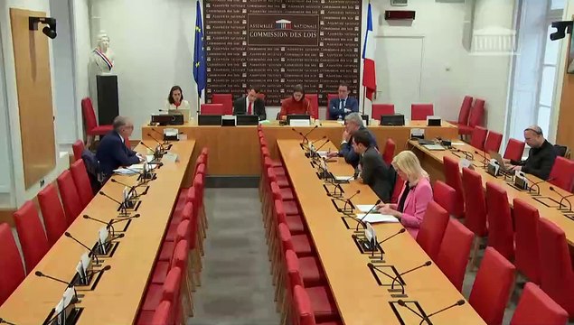 Modèle de protection et de sécurité civiles : M. Régis Cousin, président de la Fédération française des métiers de l’incendie (FFMI) ; Mme Dominique Faure, ministre déléguée - Jeudi 29 février 2024