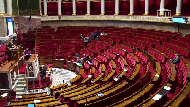 3ème séance : Lutter contre les pénuries de médicaments ; Geler les tarifs des transports publics franciliens pendant les jeux Olympiques et Paralympiques de 2024 - Jeudi 29 février 2024