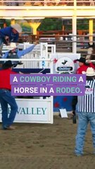 Rodeo Insurance Safety for the Sport