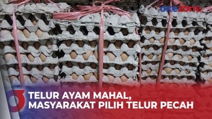Harga Telur Ayam Melonjak, Masyarakat Beralih ke Telur Pecah