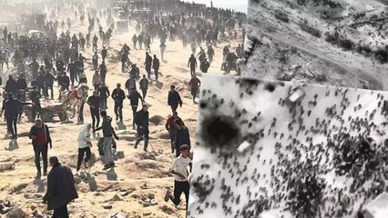 İsrail kuvvetleri, Gazze’de gıda yardımı bekleyen sivillere ateş açtı: 100'den fazla ölü